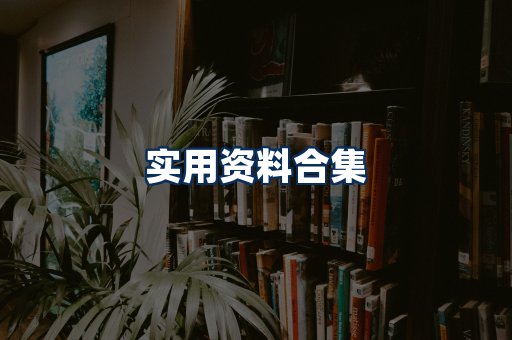 实用PDF资料展示